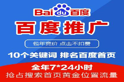 百度竞价入门必看：实操技巧与成功案例
